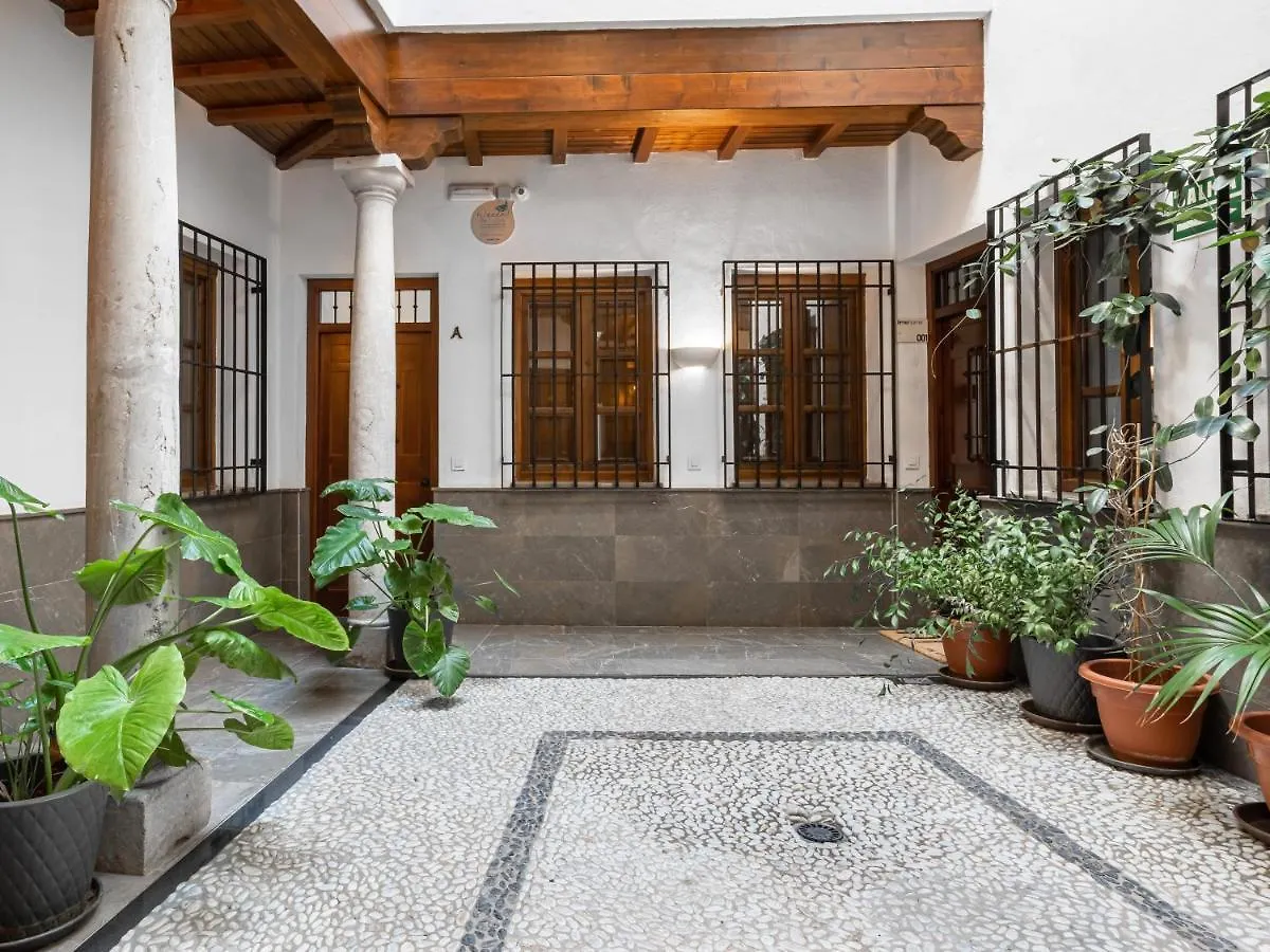 Limehome Granada Calle Santa Ana דירה