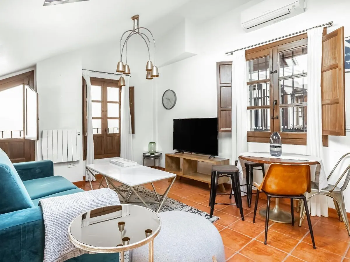 Appartamento limehome Granada Calle Santa Ana Spagna