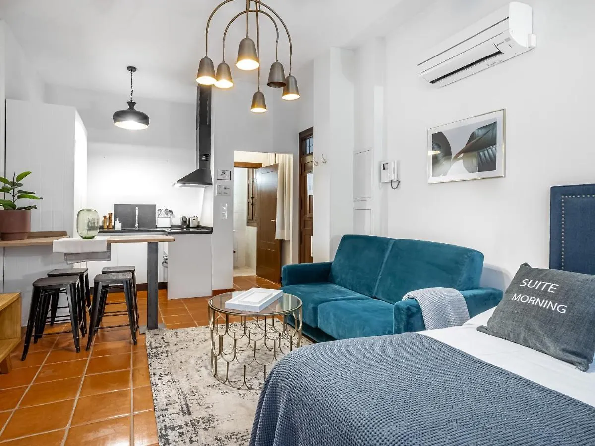 Appartamento limehome Granada Calle Santa Ana