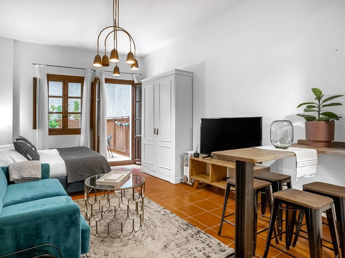 Appartamento limehome Granada Calle Santa Ana Spagna